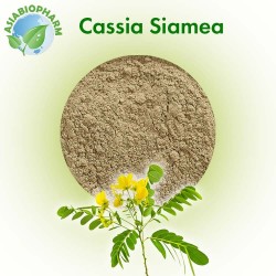 Cassia Siamea (Powder)