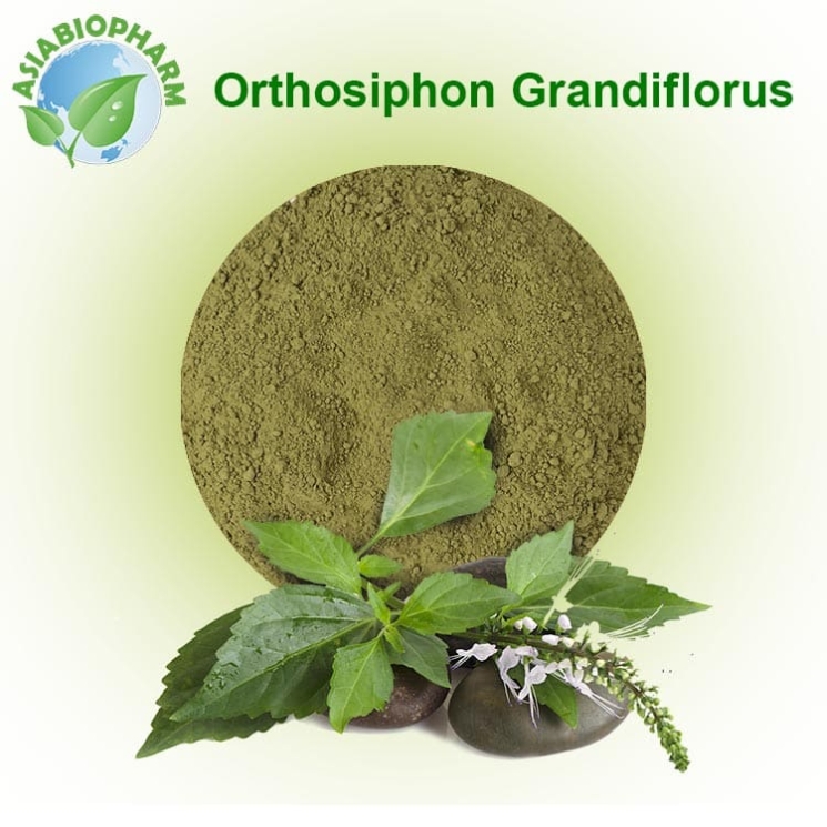 Ортосифон (Порошок)