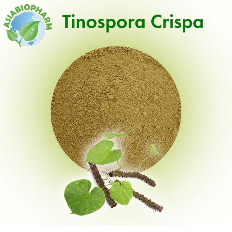 Тиноспора Курчавая (Порошок)  