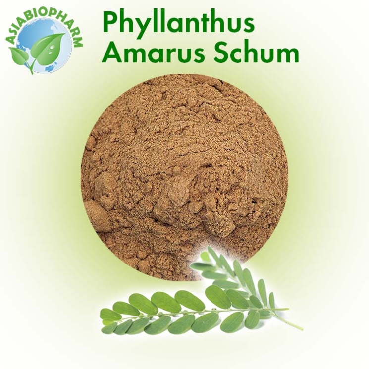 Филантус Амарус (Порошок)