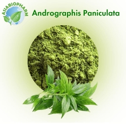 Andrographis paniculata (Powder)
