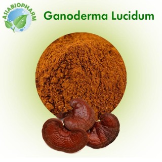 Ganoderma Lucidum Extract (Powder)