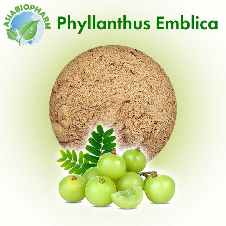 Филантус Эмблика (Порошок)     