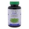 Экстракт Бакопа Монье (Herbal One) 
