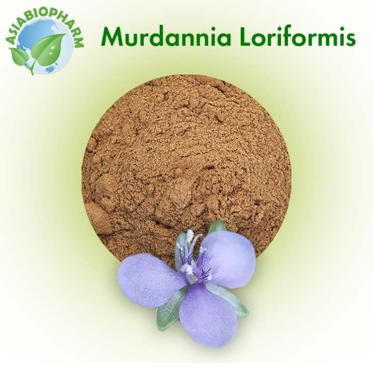 Мурдания (Порошок)
